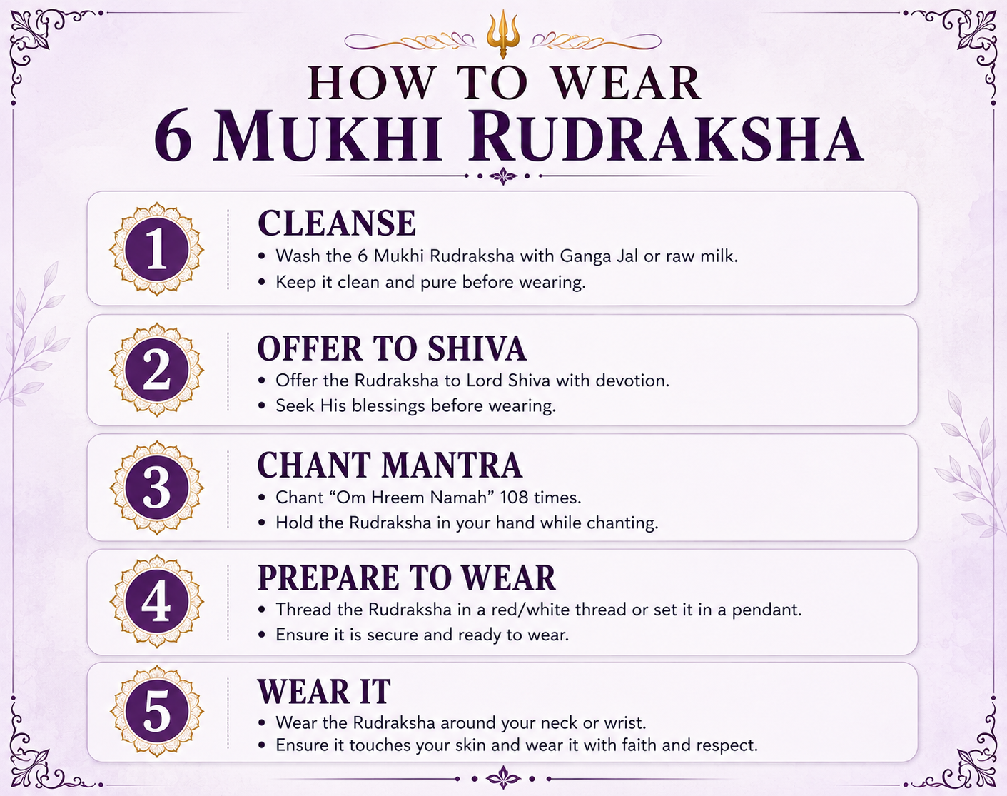 6 Mukhi Rudraksha ( Nepal Origin )
